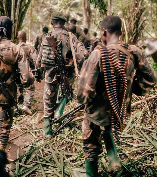 Walikale: Isasu riravuza ubuhuha hagati ya FRN na FARDC/Wazalendo muri Luberike
