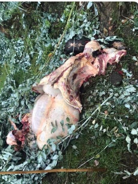 Ubutumwa bugenewe abanyeshuri mu bihe byo kwibuka Jenoside yakorewe Abatutsi ku nshuro ya 24